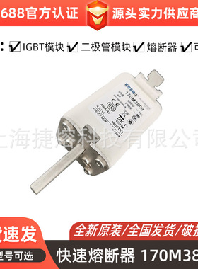 170M3809  170M3471 快速熔断器  电子元器件 型号齐全 量大价优