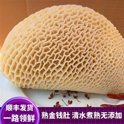 金钱肚 500g蜂窝肚新鲜牛肚毛肚新鲜牛百叶牛杂火锅食材