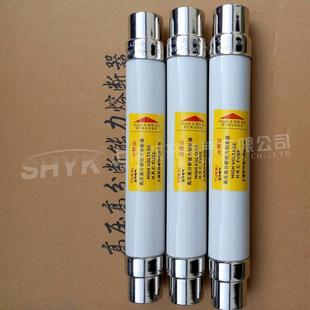 变压器保护 供应XRNT1 292高压限流熔断器 6.3A51 7.2KV