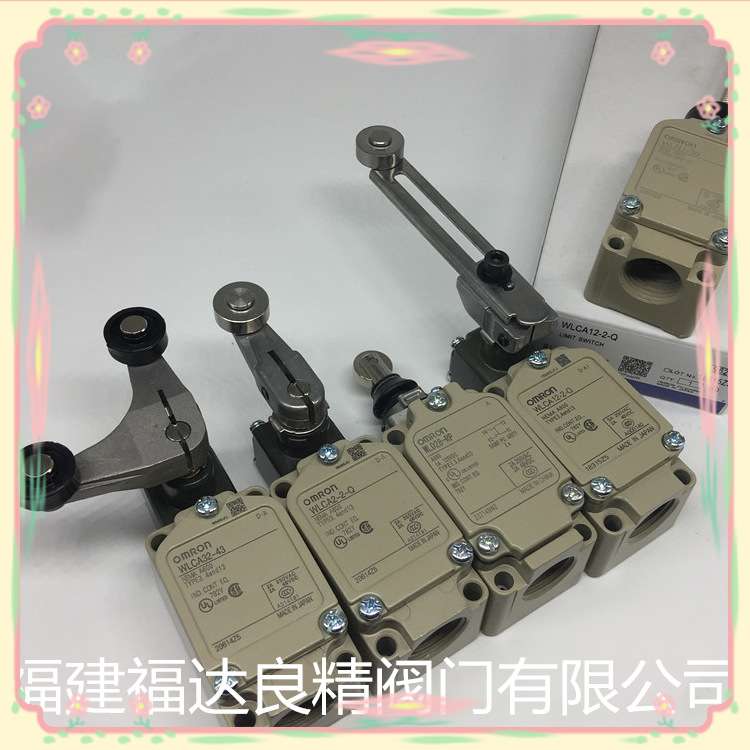 供应欧姆限位开关 行程开关 WLG2-LD-M1J-N