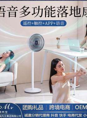 总裁先生落地扇家用三合一国标盲人语音遥控小程序电风扇台地两用