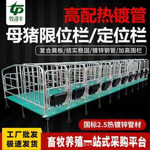 母猪定位栏热镀锌母猪限位栏落育肥猪用猪圈栏位复合漏粪板