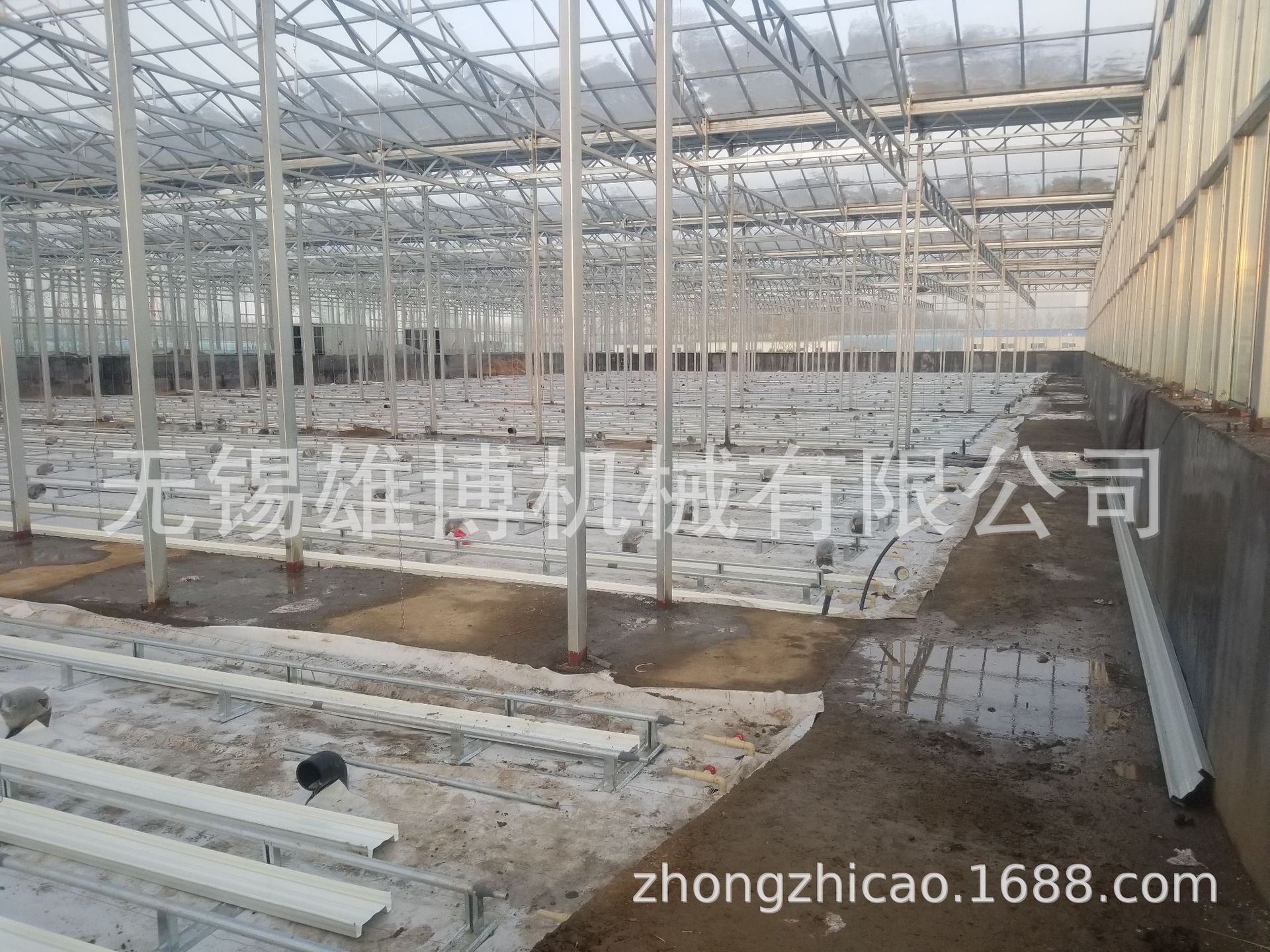 温室大棚养殖水培槽无土栽培