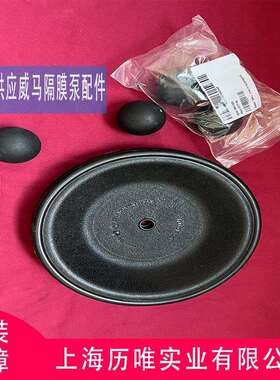 Versa-Matic威马气动隔膜泵E4AA1R119-B隔膜泵配件库存充足