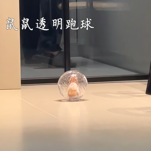 仓鼠透明跑球宠物笼子可爱耐摔外出遛笼高颜值解闷玩具多功能笼子