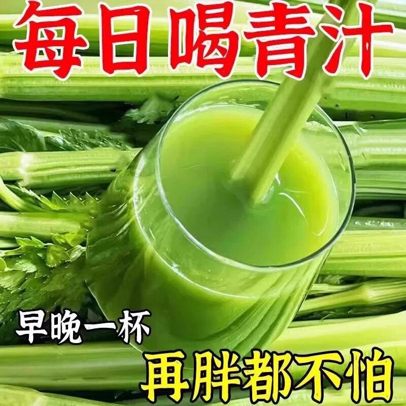 益生元青汁官方旗舰店90g/盒