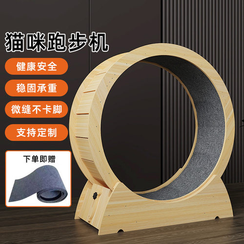 猫咪瘦身秘诀，速来观看学习