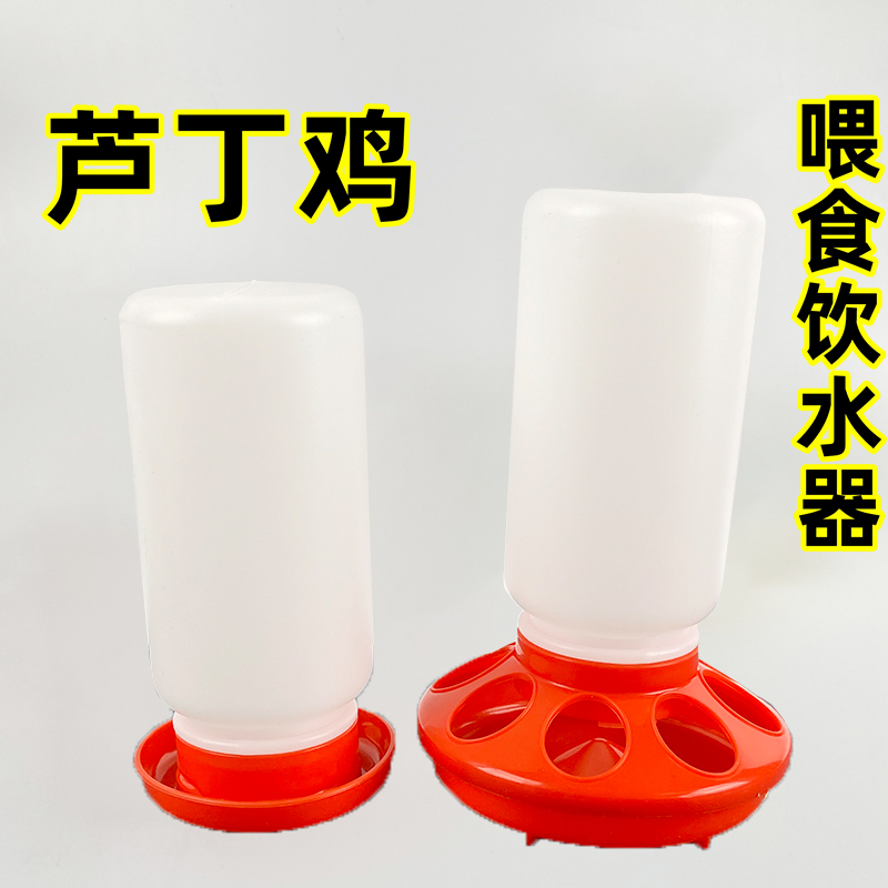 极速芦丁b鸡喂食器自动食槽鹌鹑食盆鹦鹉下料器喂小鸡芦丁鸡用品