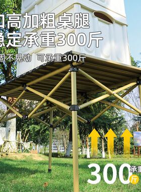 极速Outdoor foldimng chair Camping supplies Beach chairs Ult