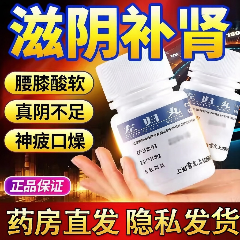 雷氏 左归丸滋肾补阴真阴不足腰酸膝软盗汗神疲口燥XJ