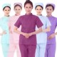 护士服药店牙科口腔护士工 短袖 新品 南丁格尔护士分体工作服套y装