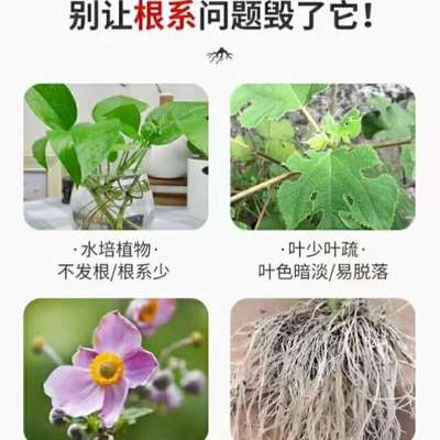 掉叶子促生绿植发黄治庭园叶烂根花草种菜通用生根栽培专用肥室内