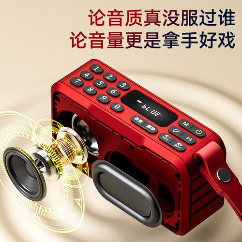 辉邦B08蓝牙可录音插卡U盘音箱收音机5W大功率晨练播放器
