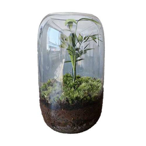 苔藓微景观高级透明玻璃微景观生态瓶创意办公室客厅桌面造景摆件