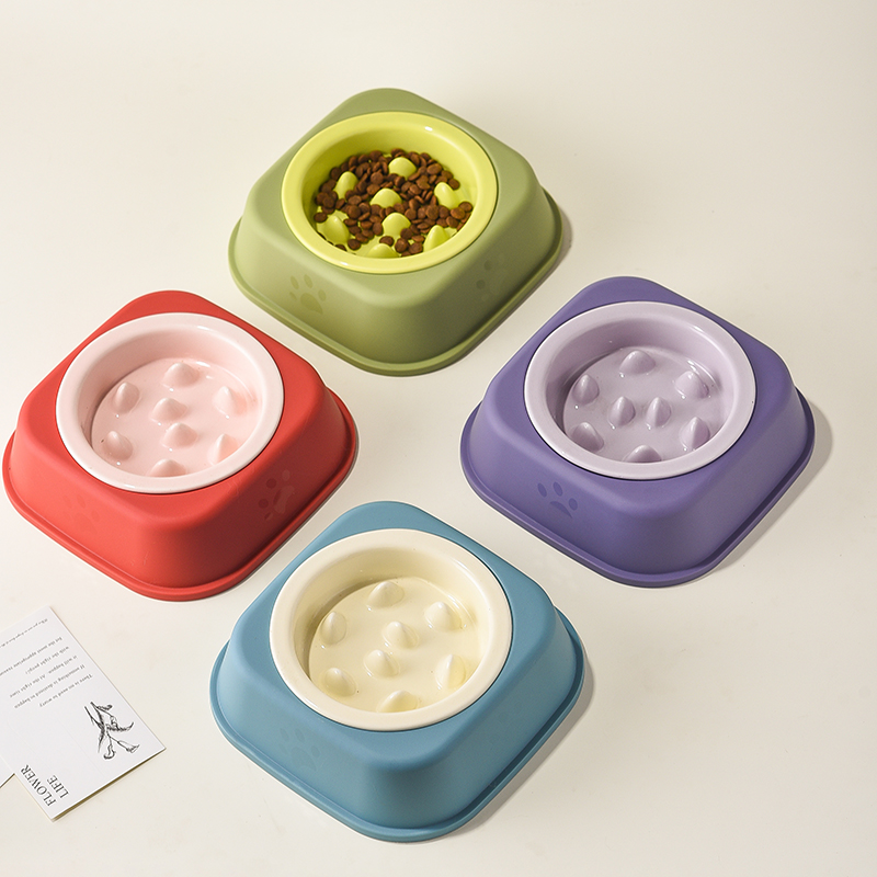 陶瓷护边慢食碗酸奶盒架子猫碗