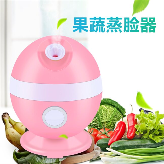 极速热喷e果蔬蒸脸器面部加湿保喷雾仪/蒸脸仪