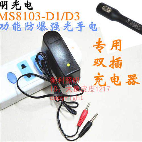 新品深圳道明DMhS8103-D1/D3 DYB7500-E12防爆强光手电筒 专用充