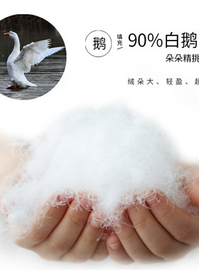 新品希尔顿羽绒床垫五星酒店软垫加厚10cm1.8m榻榻W米白鹅毛超软