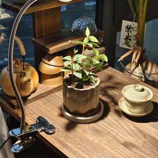 极速家用中式阳台茶室氛围布置y小型茶桌飘窗小茶台榻榻米可折叠