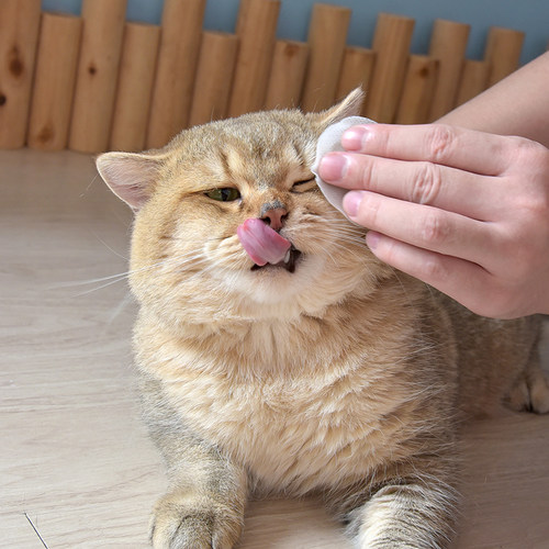 新品PURRY派锐100片宠物猫狗通用眼睛湿巾无酒精狗.狗眼部湿巾