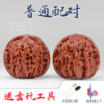 文玩核桃狮子头一物一图官帽四座F楼野生小众虎头苹果园白狮子