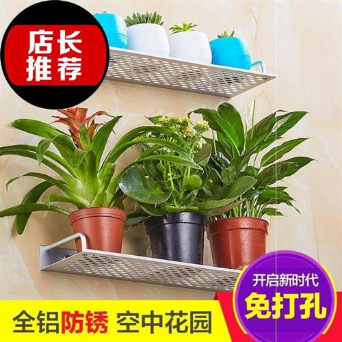 极速。客厅阳台i挂壁花架壁挂式花篮架挂墙上花盆架挂架挂y墙面免