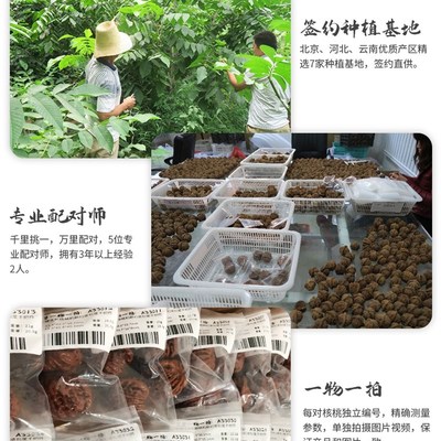 文玩核桃全品无修一物一图四座楼苹果园磨盘南疆石白Z狮子头官帽