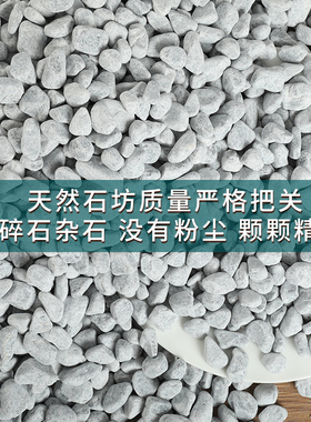 极速50斤浅灰色水洗石枯山水石子砾石日式N庭院园林造景装饰碎石