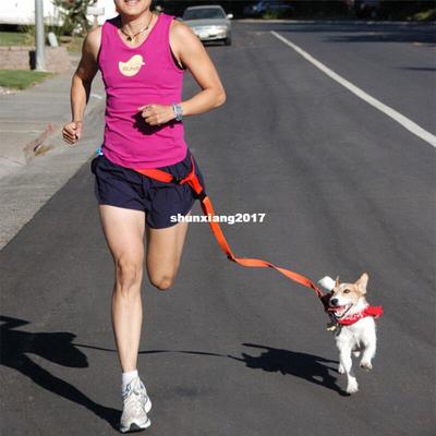 新品New waist pet dog leash running jogginNg puppy dog lead