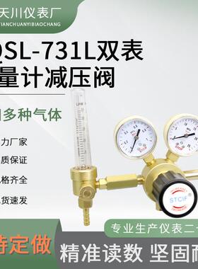 减全铜流量计表标准气体减压阀YQ双SL-731L-.0-1L/min5L 25L钢1瓶