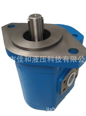 德工ZL40F齿轮泵    装载机齿轮泵   Gj2080