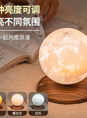 磁悬浮自动升降月球地球仪小夜灯卧室床头台灯礼V物高级感气氛围