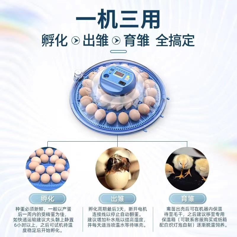 孵化机智能小f型家用孵化器小鸡小飞碟孵化箱鸽子芦丁鸡孵蛋器