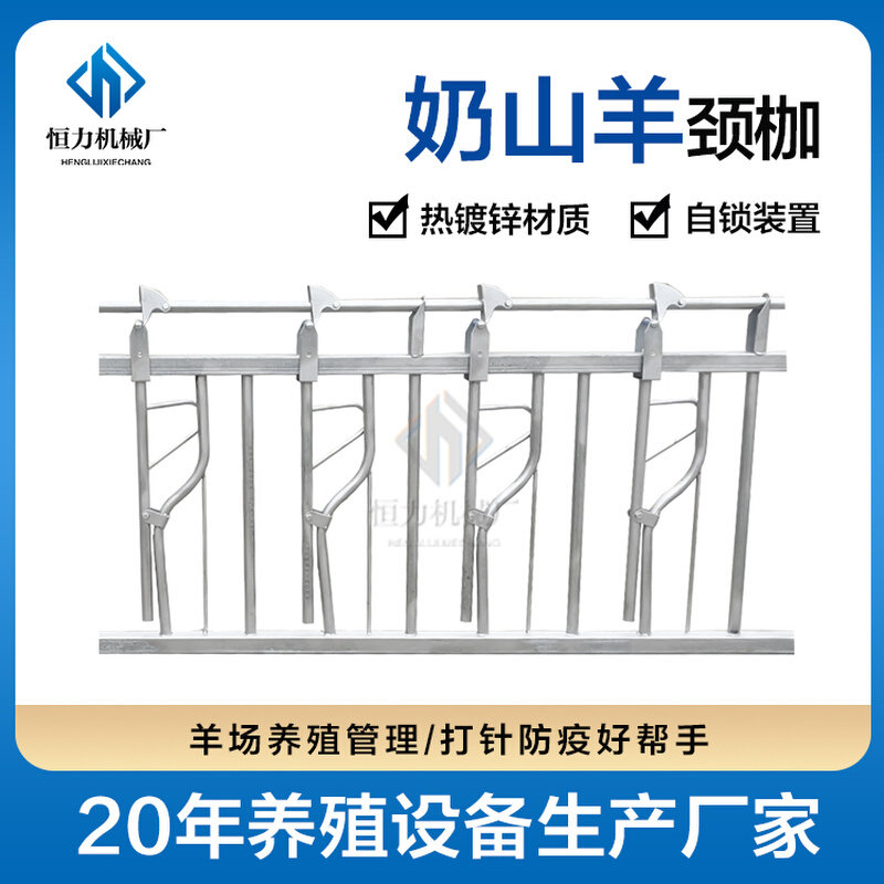 畜牧设备羊舍内隔栏热镀锌加厚自锁式奶山羊颈夹 羊脖夹