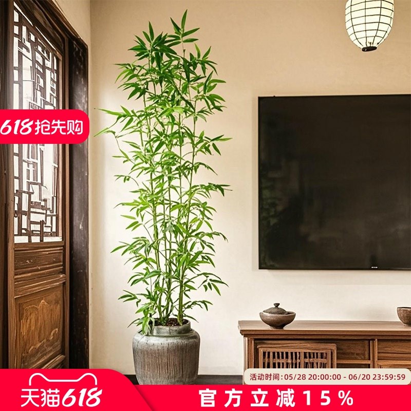 仿真竹子客e厅装饰室内外隔断屏风仿生植物玄关客厅酒店景观假绿