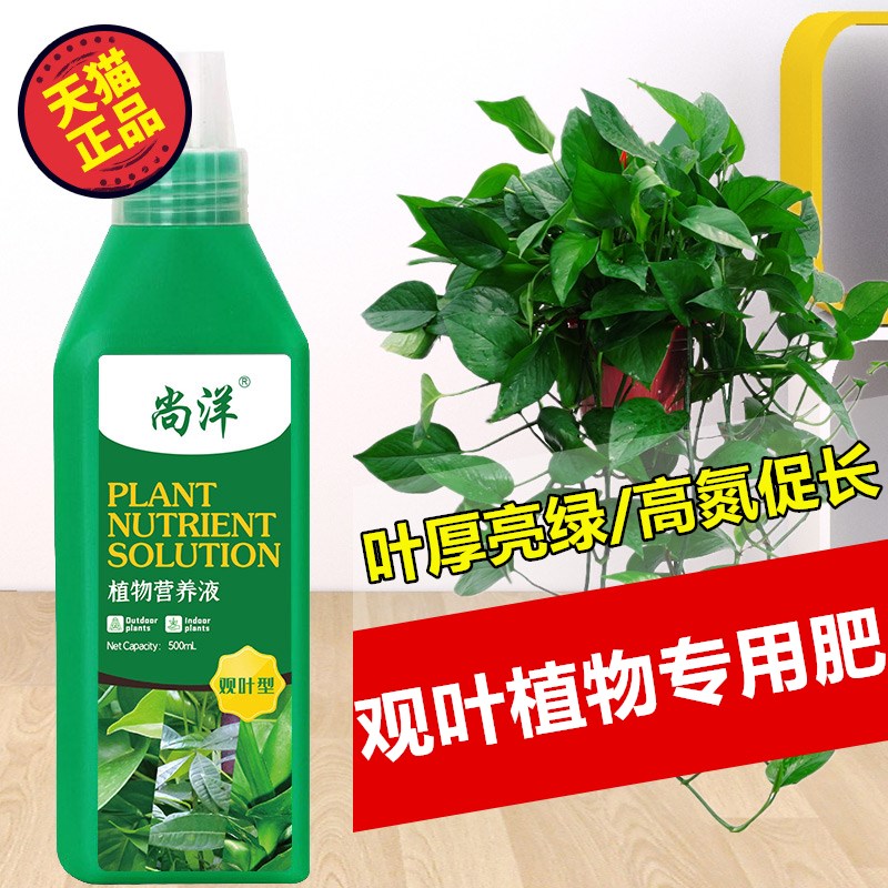 观叶植物营养液绿植绿萝专用肥料通用型室内盆栽喷施型叶面肥家用