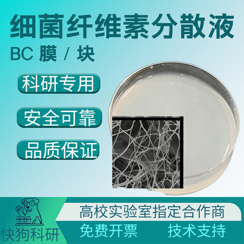 细菌纤维素Bacterial Cellulose 纳米纤维素 片状/水分散液
