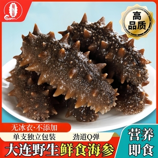 【无冰衣】大连鲜食海参即食海参鲜活辽参新鲜刺参营养速食单只装