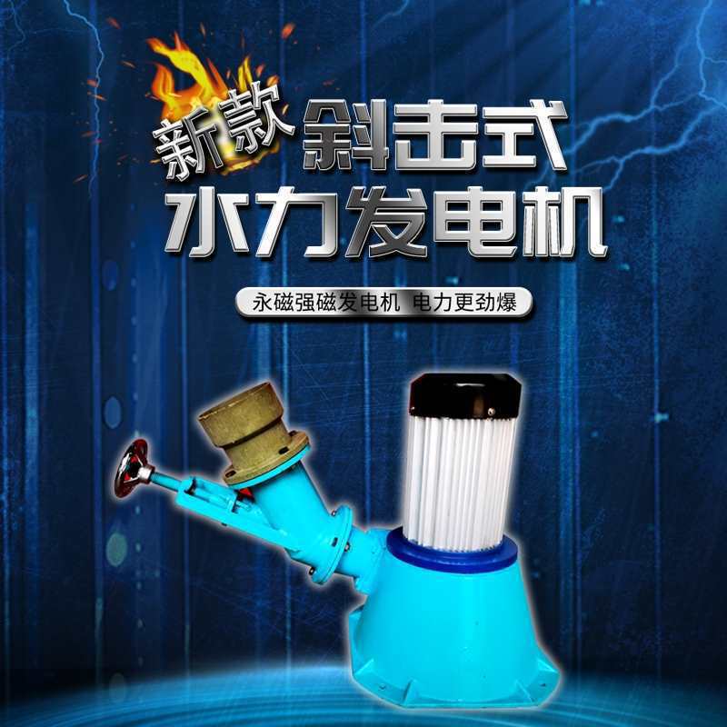 新款永磁强磁无刷小型交流水力发电机斜击式220V600W3000W垒德株