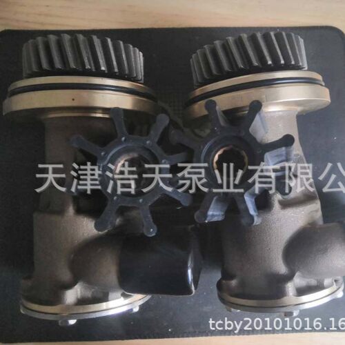 橡胶叶轮挠性泵4255412425-5412海水污水废水清水柴油挠性泵