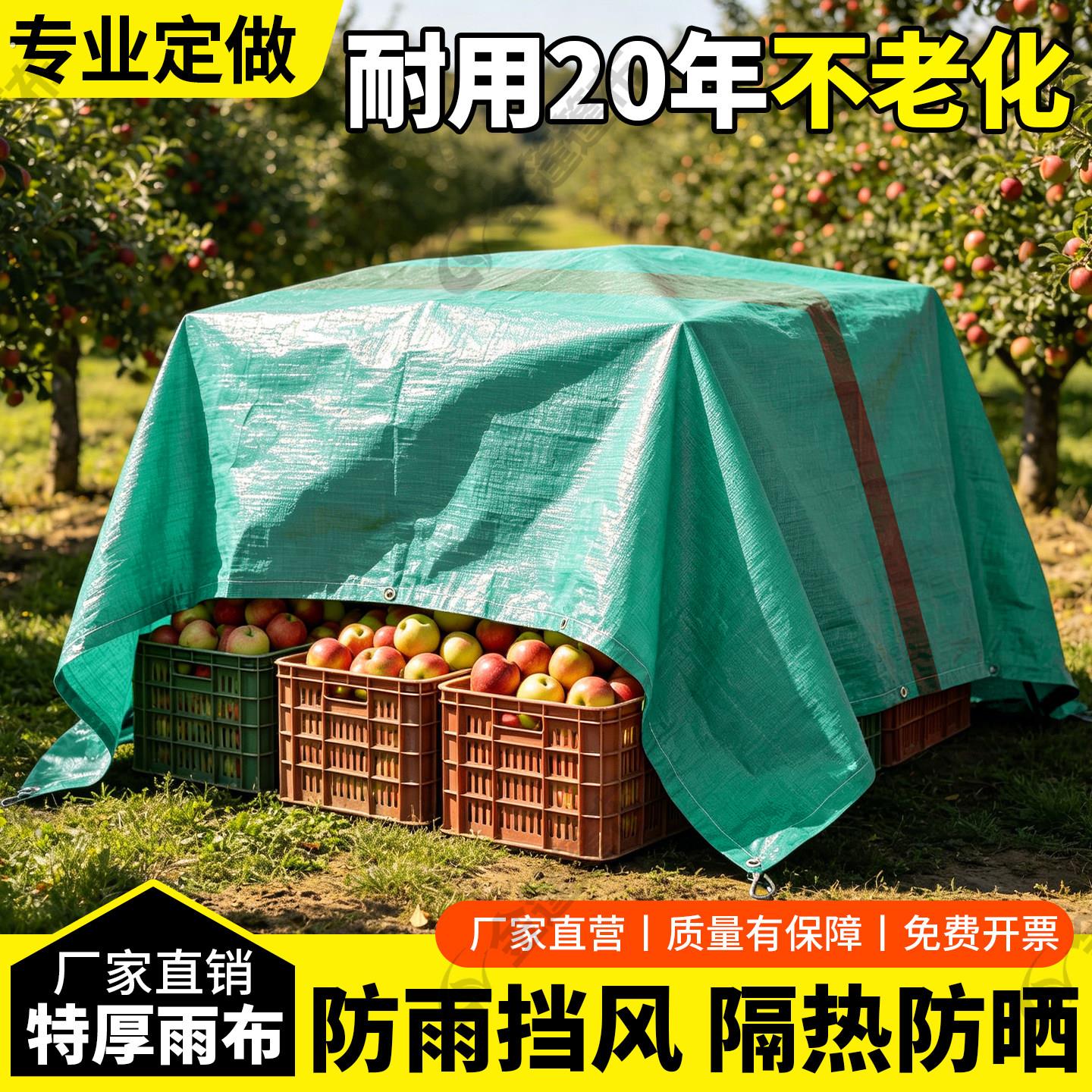 加厚遮阳布三轮车雨布防雨防晒雨棚帐篷布阳台帆布苫布户外防水布