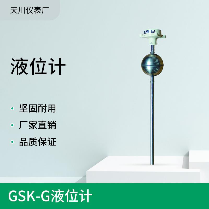 上海仪表厂供应 GSK-G不锈钢干簧式浮球液位控制器