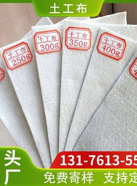 土工布生产源头厂家 100g200g300g土工布 公路养护涤纶土工布
