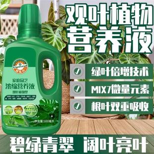 观叶植物通用型营养液专用肥万年青吊兰绿萝家用室内肥料绿植肥料