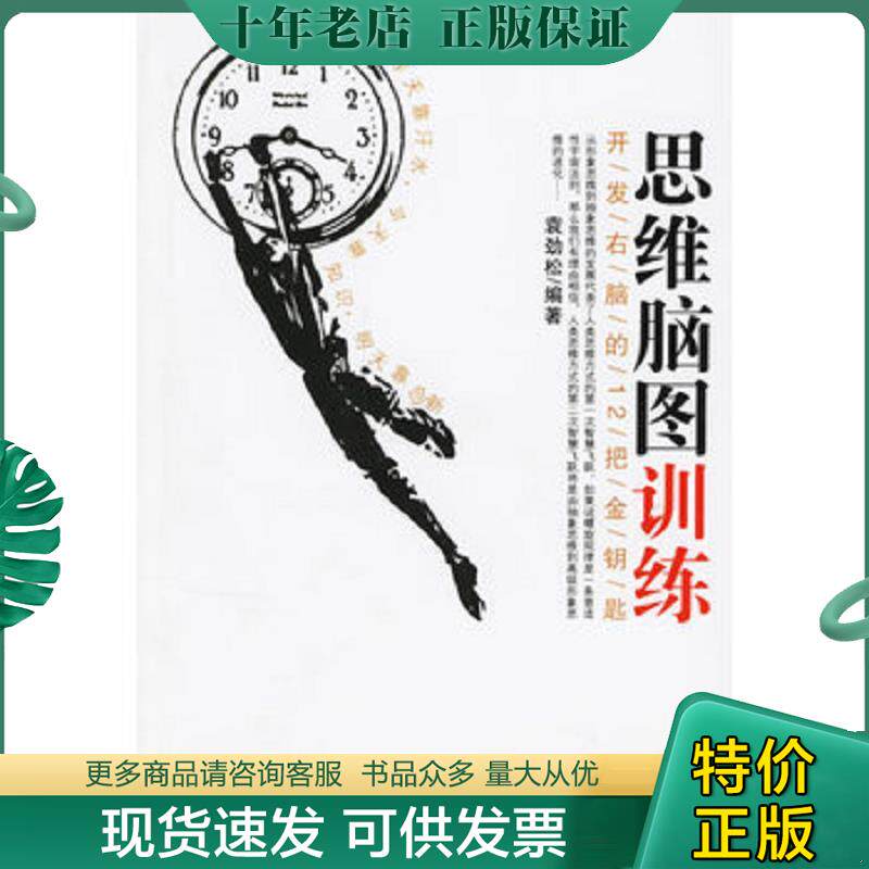 正版现货9787801976284 思维脑图训练 袁劲松编著 企业管理出版社