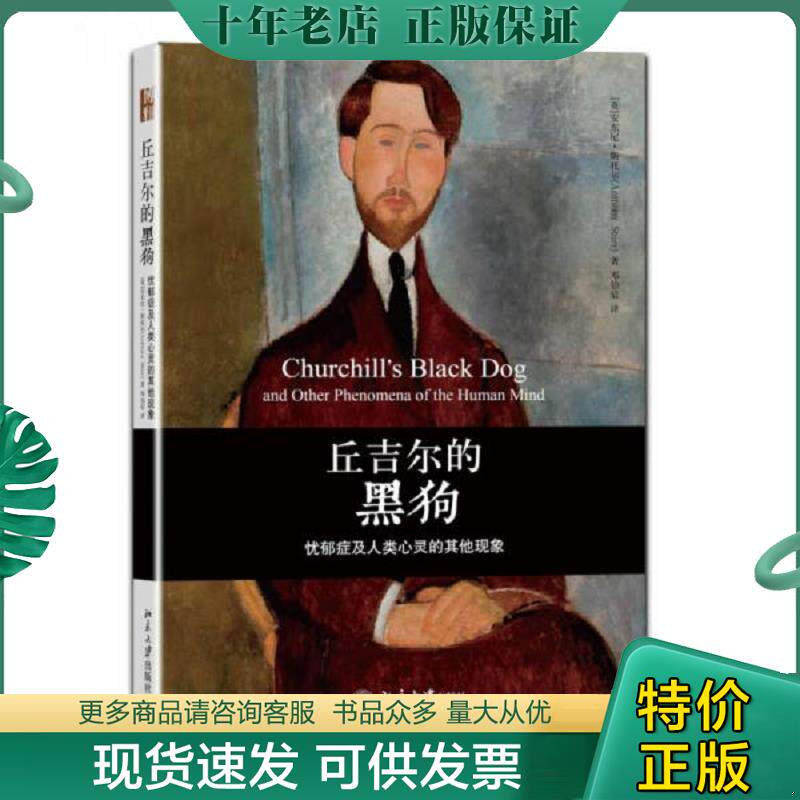 正版现货9787301199848 丘吉尔的黑狗 忧郁症及人类心灵的其他现象 AnthonyStorr 北京大学出版社