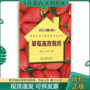 正版现货9787533180027 科技惠农一号工程 草莓高效栽培 雷世俊赵兰英 山东科学技术出版社