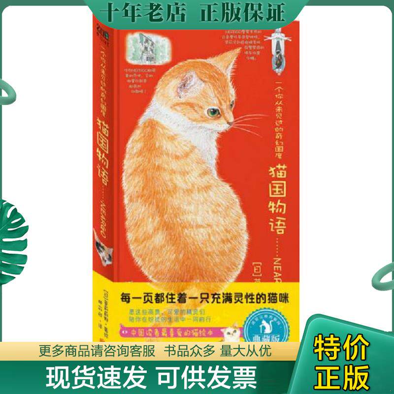 正版现货9787550224438 一个你从未见过的奇幻国度：猫国物语 莫莉蓟野 北京联合出版有限公司