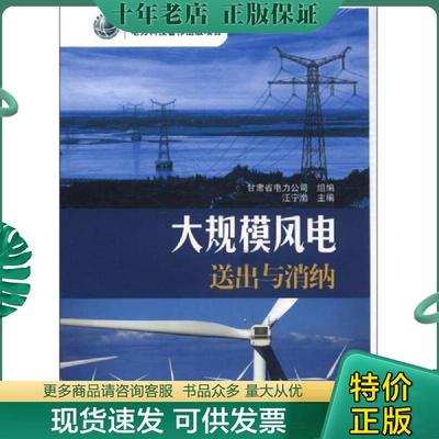 正版现货9787512334489 大规模风电送出与消纳 汪宁渤编 中国电力出版社