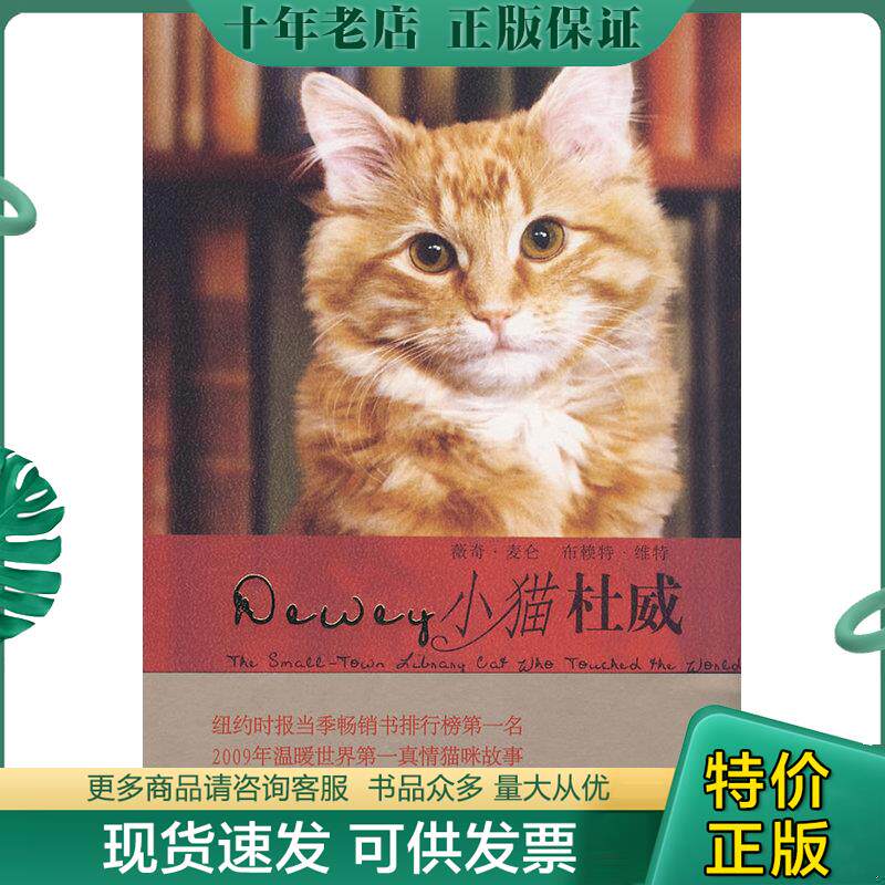 正版现货9787532746811 小猫杜威 WitterB. 上海译文出版社